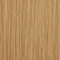 11A Double Drawn 4x4 Transparent Closure Straight